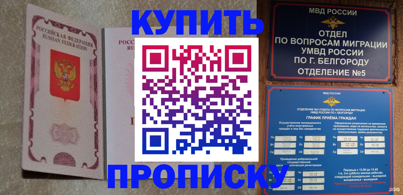 где прописаться в Великом Новгороде